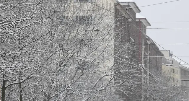 Finlandia, il reddito di base è inutile'