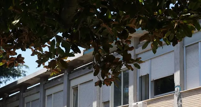 Muore in ospedale,denuncia, 6 ore attesa