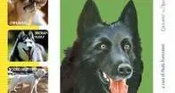 «Tutto il cane minuto per minuto» a prezzo speciale