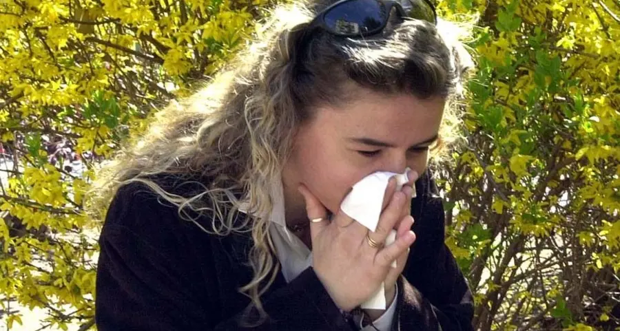 Al via la stagione dei pollini Attenzione alle allergie