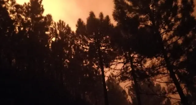 Un altro bosco in fiamme nel Pisano