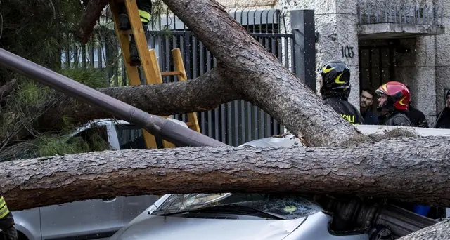 Feriti da crollo albero, Pm Roma indaga