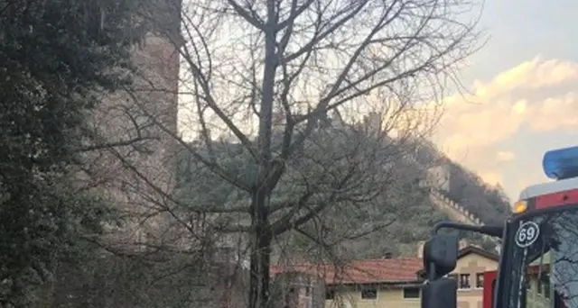 Passeggino travolto,camionista arrestato