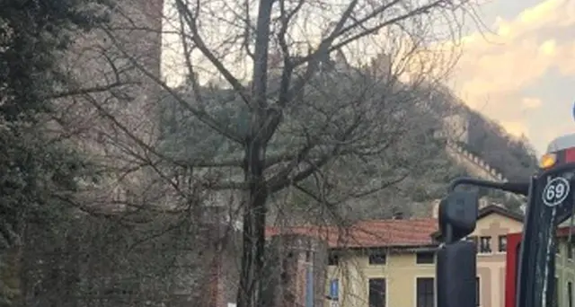 Passeggino travolto: autista davanti Gip
