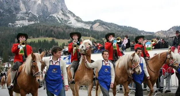 Istruzione, Provincia di Bolzano, bando per la direzione della ripartizione cultura ladina
