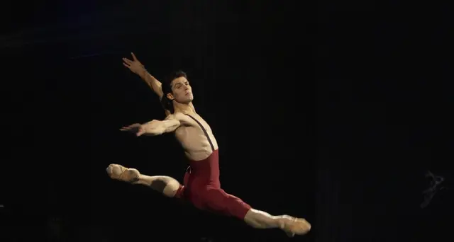 Bolle, riflessioni oltre la danza
