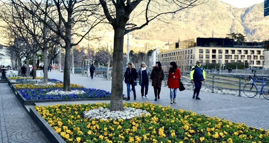 La primavera fiorisce sul Passirio