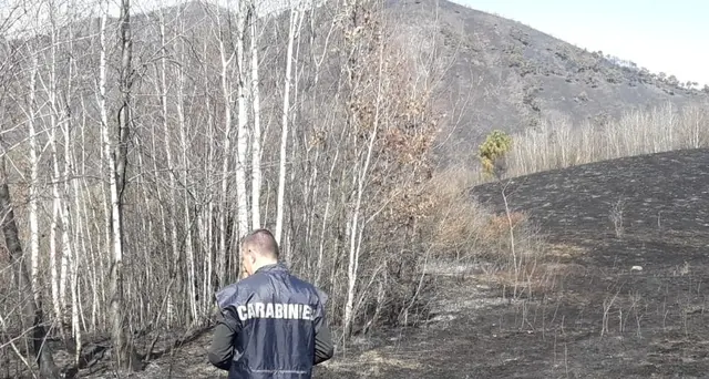 Incendi nel Torinese, trovati inneschi