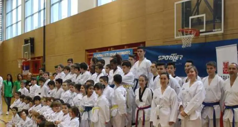 Taekwondo, in 200 per lo stage col campione