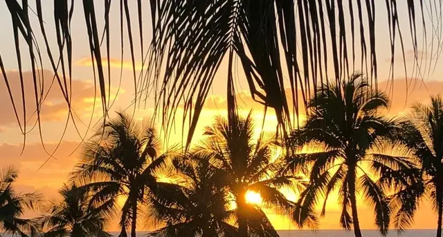 Hawaii pensano bando plastica ristoranti