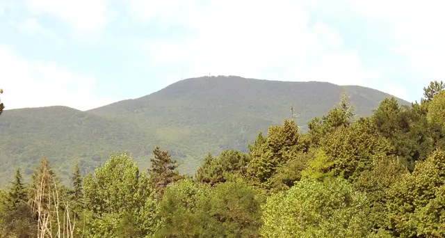 Aumentano foreste Italia, 11 mln ettari