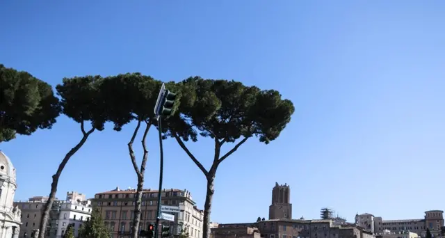 Xi, siamo partner strategici