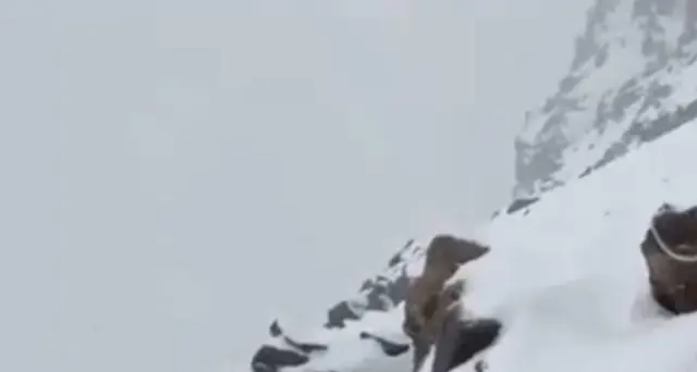 Valanga sulle Alpi Svizzere, un morto