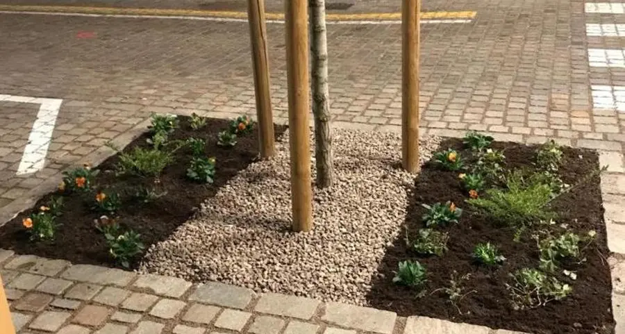 Urban gardening a Maia Bassa