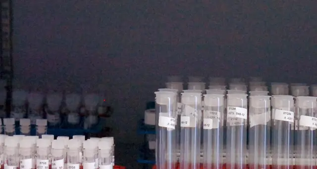 Lesioni nervi,materiale chiave da Italia