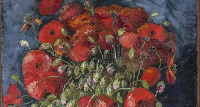 Papaveri museo Connecticut a van Gogh