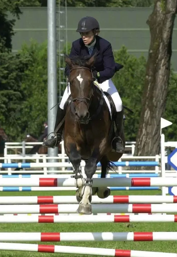 Il Centro equestre prepara il salto di qualità