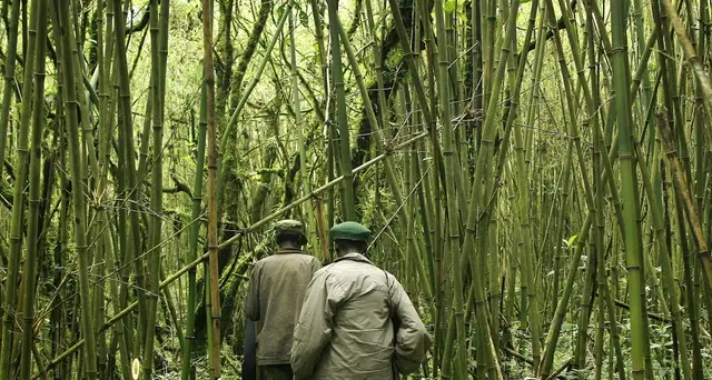 Uganda, liberata turista americana