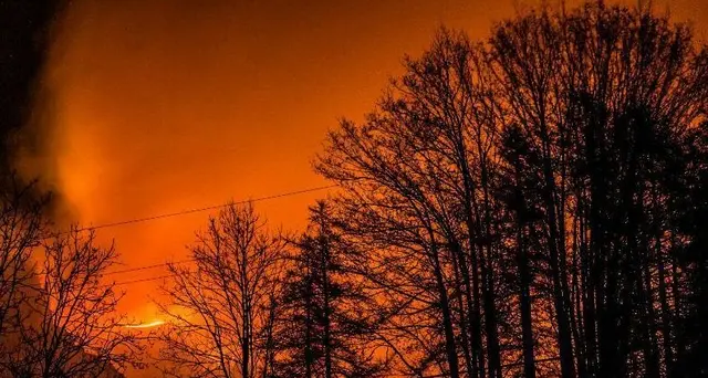 Distruggono bosco, multa di 13 milioni