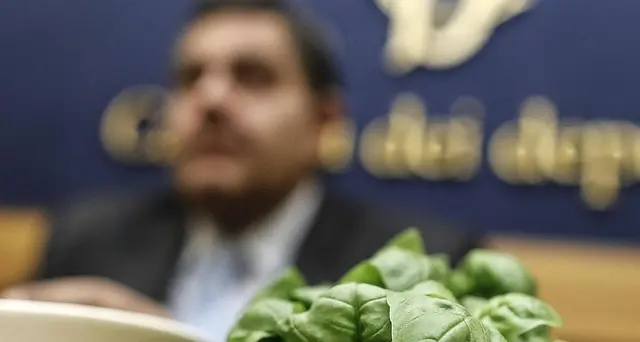 Liguria vuole pesto patrimonio Unesco