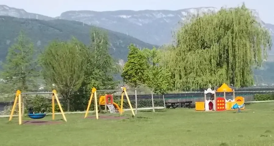 Deiezioni canine nel parco di Pineta: residenti infuriati