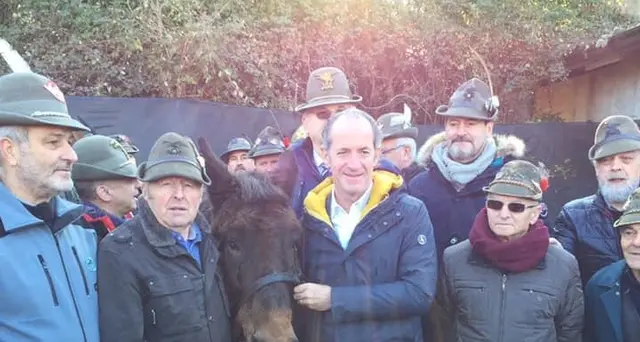 Morto 'Iroso', l'ultimo mulo alpino