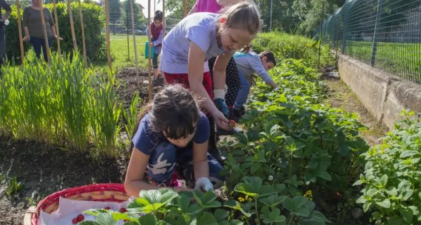 L’orto è più bello con Slow Food