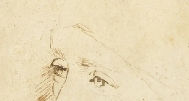 'Leonardo francese', mea culpa France 2