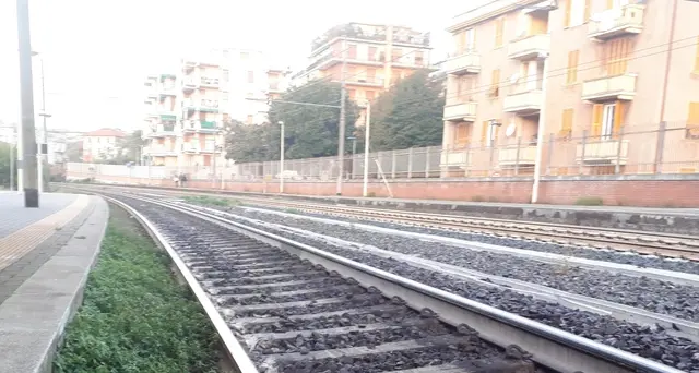 Treno urta albero su binari a Mantova