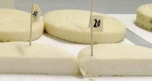 Batteri antistress scoperti nei formaggi trentini