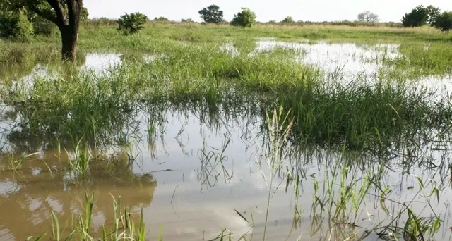 Francia libera ostaggi in Burkina Faso