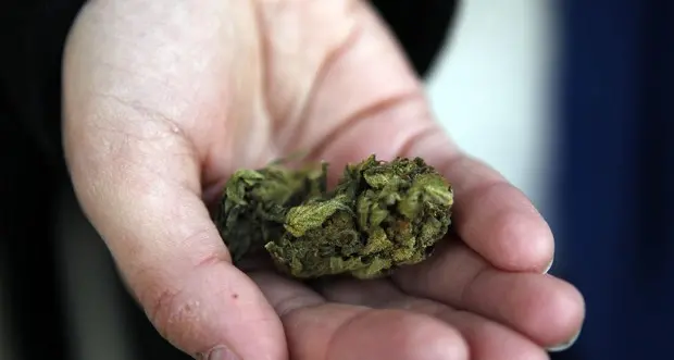 Bolzano, sorpreso con la marijuana nel parco davanti alla stazione
