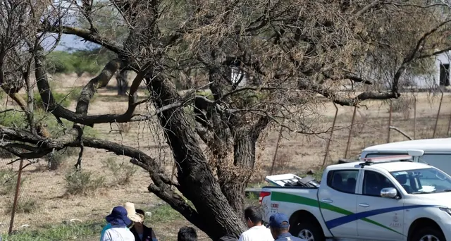 Messico, trovati i resti di 34 persone