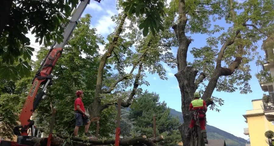 Legambiente: «Sul verde il Comune cambi passo»
