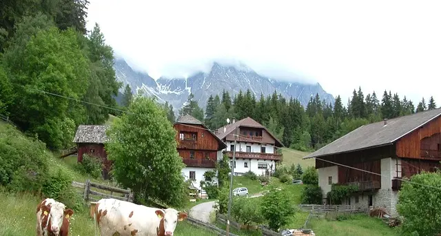 Imprese, il Premio economia Alto Adige al maso Wiesemannhof di Rasun, fondato 380 anni fa
