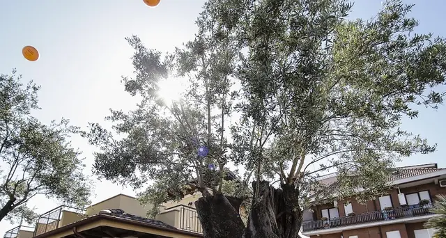 Casamonica: blitz a Roma, perquisizioni