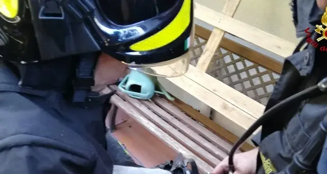 Criceto salvato con autorespiratore