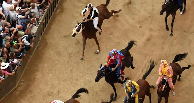 Palio Siena: estratte contrade 2 luglio