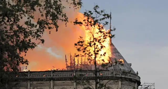 Notre-Dame: piombo nel sangue di bimbo