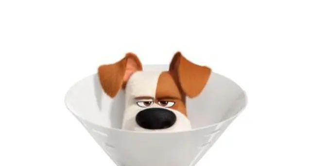 Box office Usa, Pets 2 in vetta