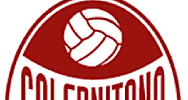 Playout: la Salernitana resta in Serie B, Venezia in C