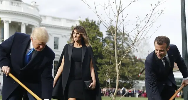 Morta quercia dell'amicizia Trump-Macron