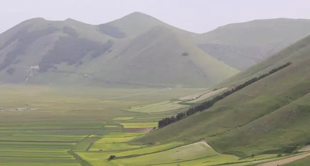 Appello, sì Castelluccio ma fiori salvi