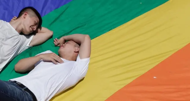 Consulta,no a procreazione assistita gay