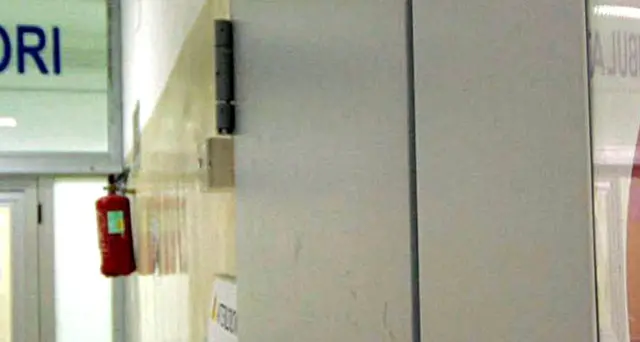 Formiche in ospedale Reggio Calabria