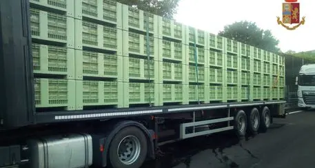 Sequestrate dalla Polstrada 28 tonnellate di frutta avariata destinate a una ditta meranese