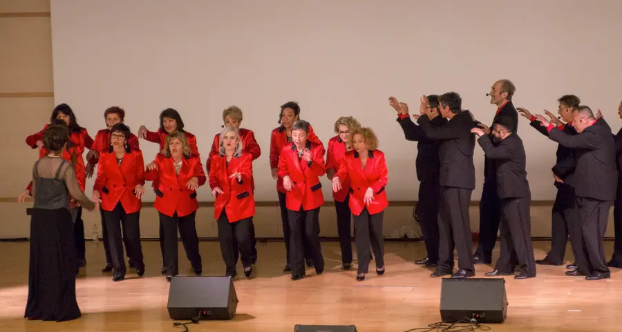Showcoir «Le Pleiadi», concerto per le donne offese