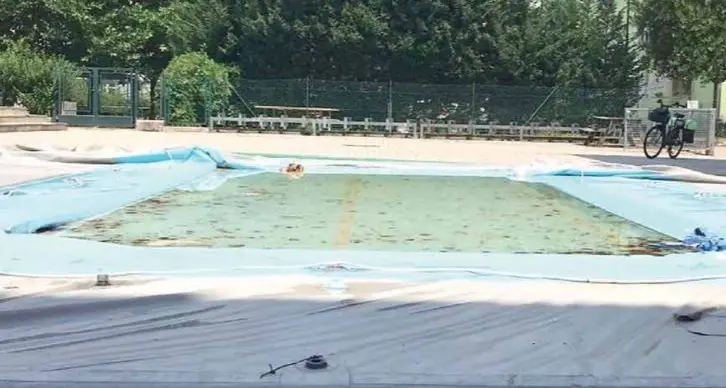 Bolzano, baby gang buca le quattro piscine gonfiabili dell'Estate ragazzi: danni ingenti