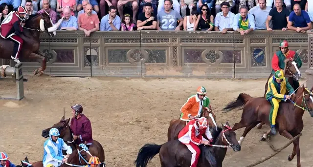 Palio Siena:estratte Pantera,Drago,Bruco