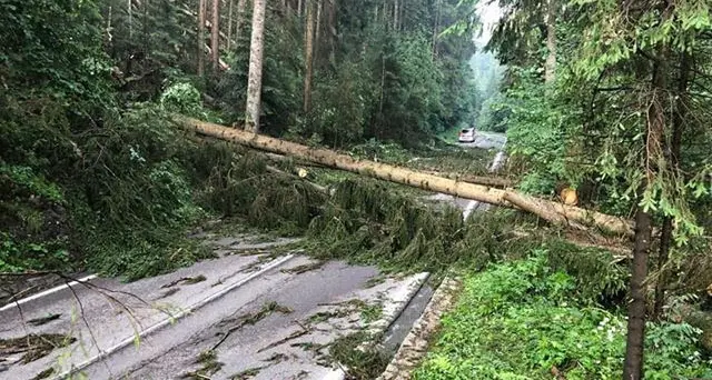 Maltempo in Alto Adige, il vento raggiunge i 114 chilometri orari